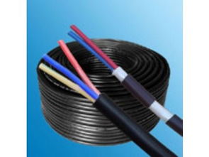 東莞市電線電纜廠家產品供應與深圳市坪山新區廣勝五金交電商行技術開發合作探析